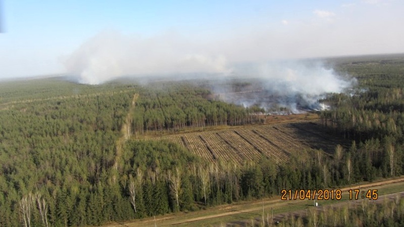 О пожаре на территории Барановичского лесхоза