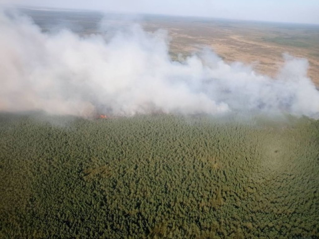 Продолжается тушение пожара в Полесском лесхозе 